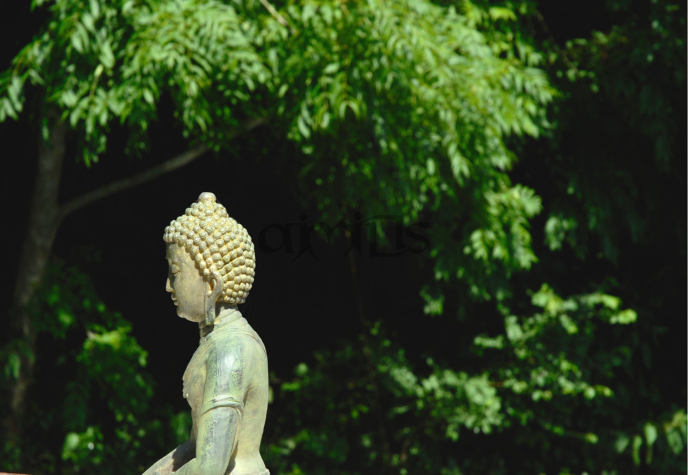 Buddha and Trees