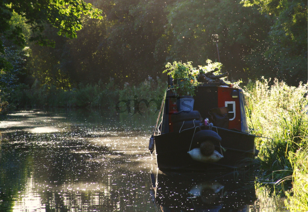 Summer Narrowboat